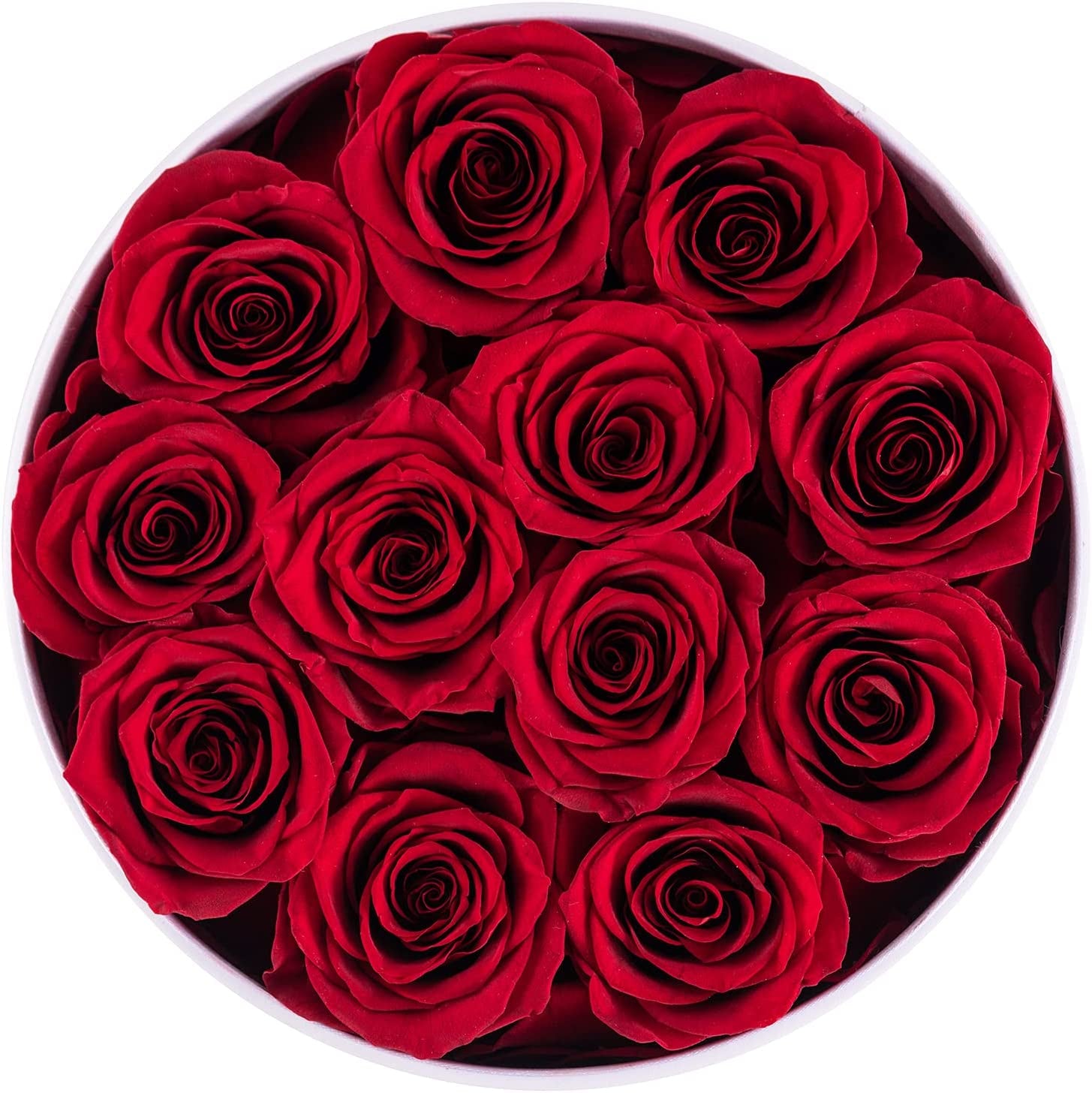 Preserved Real Roses in a Box, Rose Box Gifts for Her, Eternal Roses in a Box, Romantic Gifts for Her, Gift Box for Her/Women/Mother/Friend (12 Red Roses, round White Box)